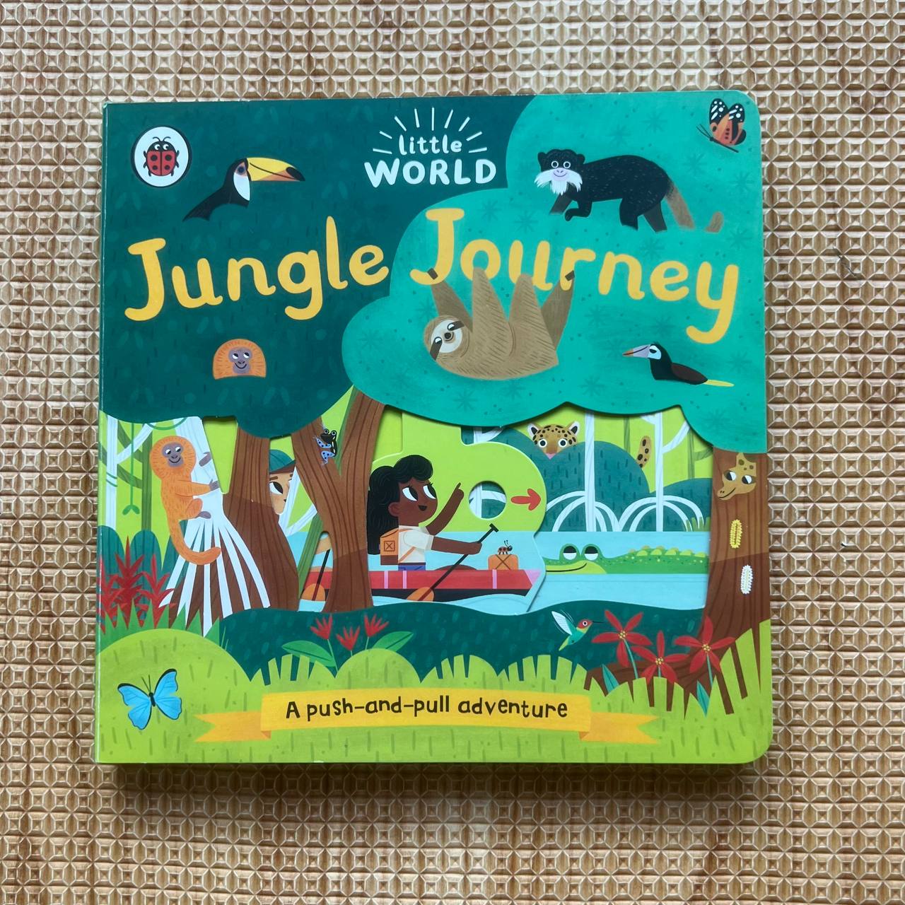 Little World: Jungle Journey - Board Book