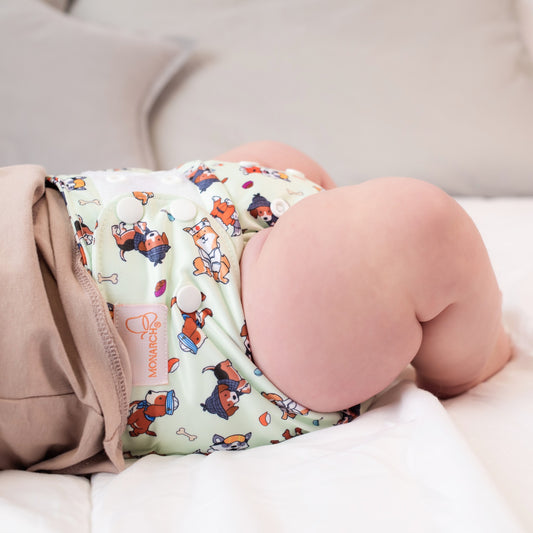 Beginner's Nappy - Pawfessional