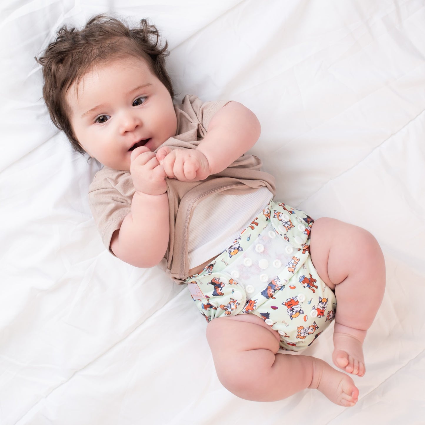 Beginner's Nappy - Pawfessional