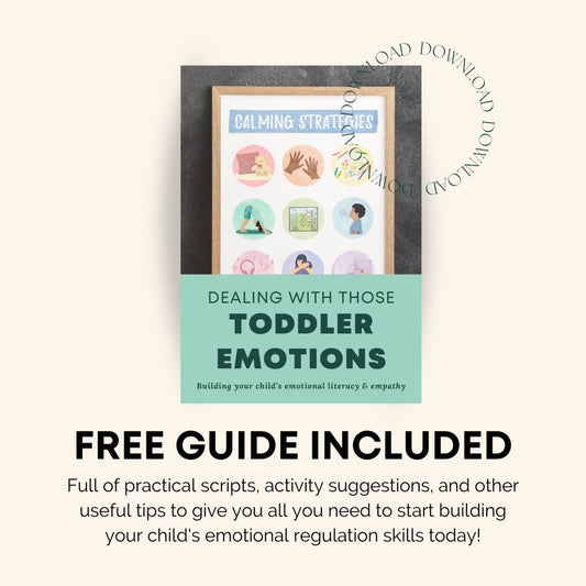 Calming Strategies Poster