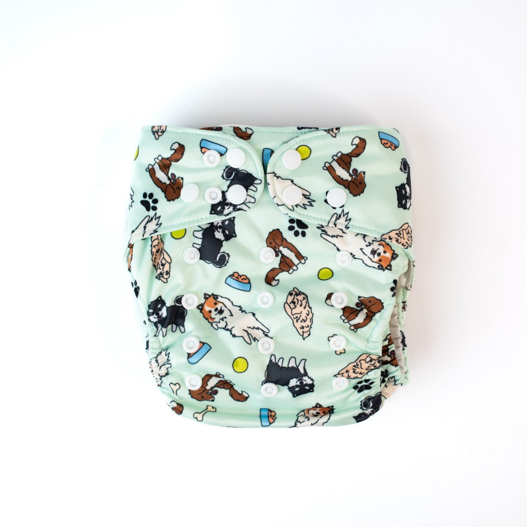Classic Pocket - Haku and Friends (Pocket only)