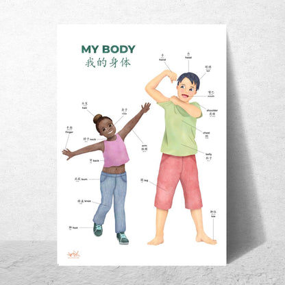 Body Parts Poster (printable)