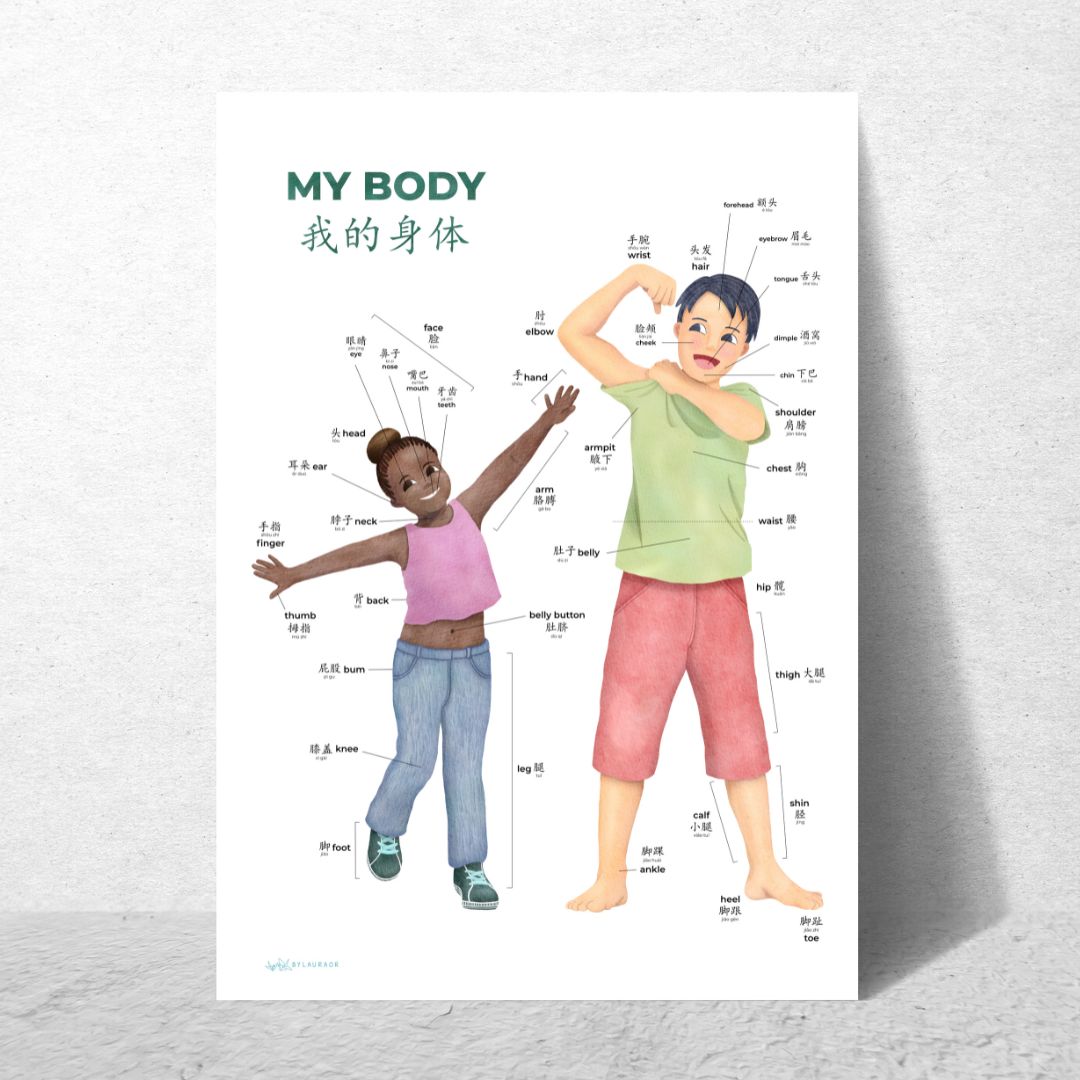 Body Parts Poster (printable)